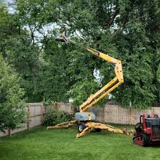 Best Sod Installation  in Shepherdsville, KY